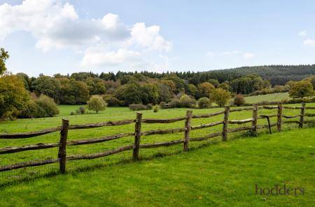 4c4e805c-8ed8-41f...