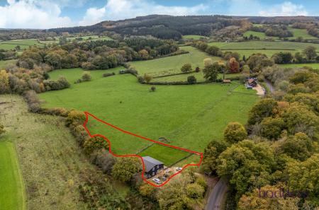 d874dda3-9919-4ff...