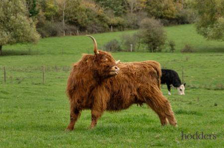 0ede508e-73aa-494...