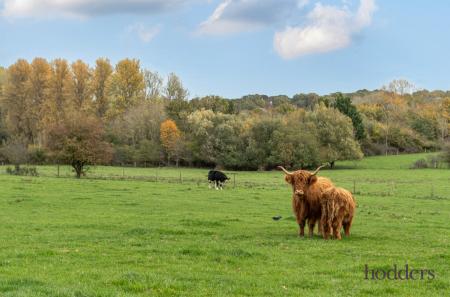 62f28ace-c02a-49f...