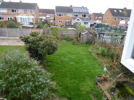 Garden 2