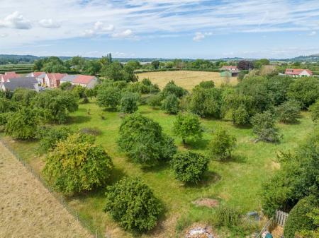 Schmaltings, Baltons