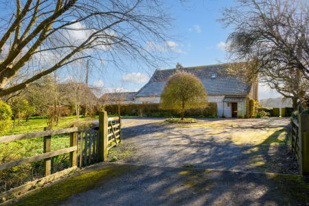 TEK HiRes 250228 001