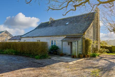 TEK HiRes 250228 004