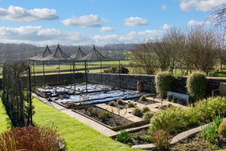 TEK HiRes 250228 019