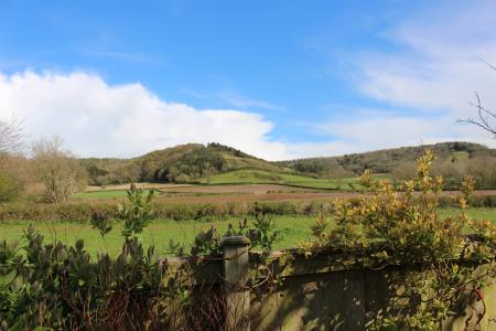 Countryside Views