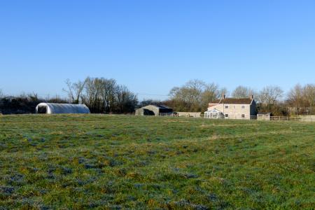 Paddock