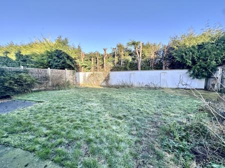 IMG_5903.jpeg