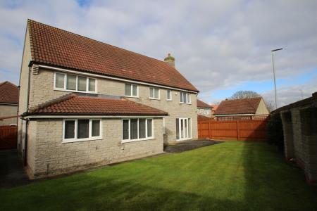Rear Elevation (1).j
