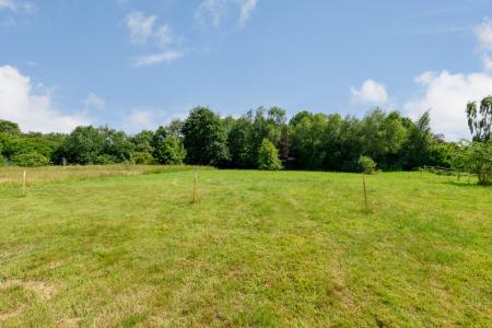 8C86A018-1255-4728-9