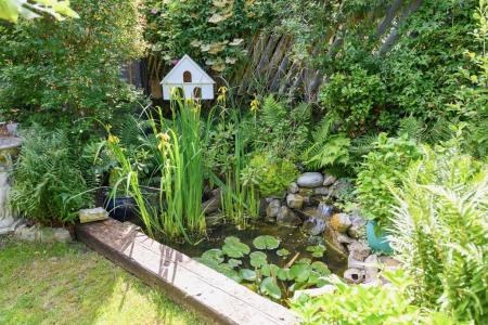 Pond