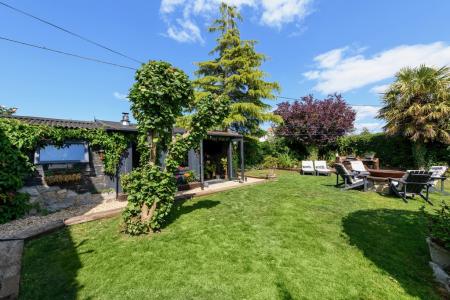 Main garden
