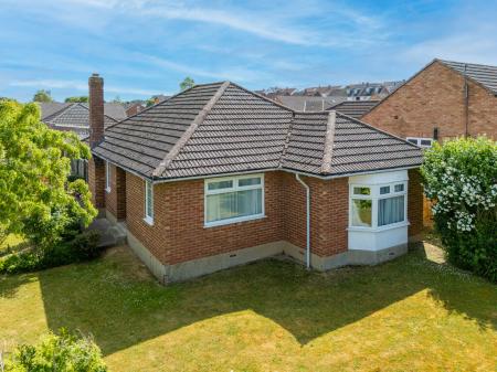 TEK HiRes 250611 002