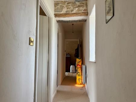 IMG_3881.jpeg