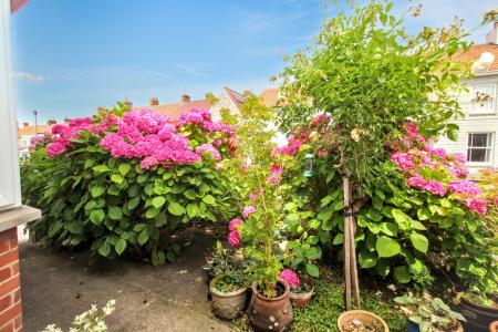 Front Garden