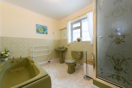 TEK HiRes 240806 077