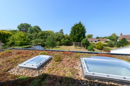 Sedum roof