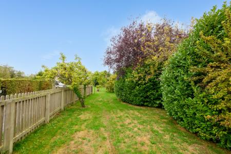 TEK HiRes 250918 002