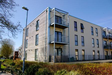 Main Development