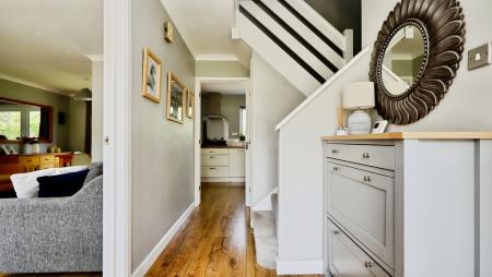 894d508b-IMG_1229.jp