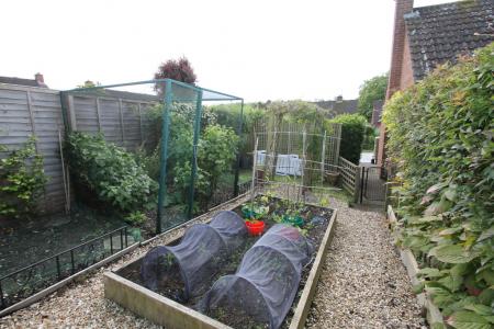 Vegetable patch