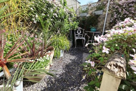 Rear courtyard garde