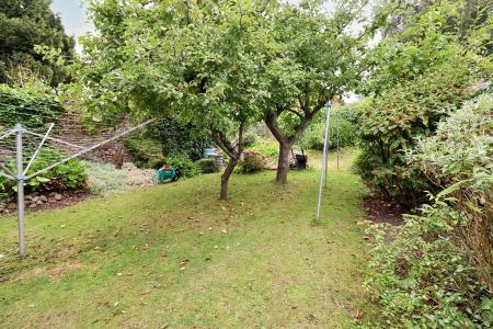 Shared rear garden