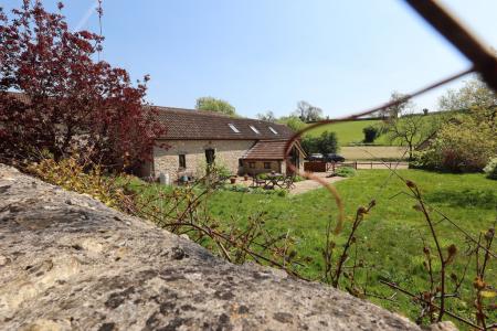 Front and garden