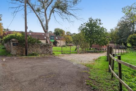 Front and driveway t