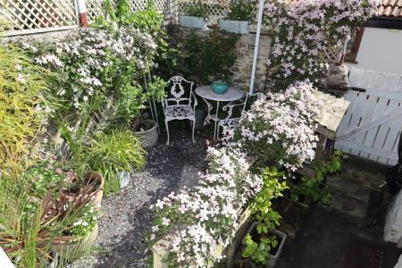 Rear courtyard garde