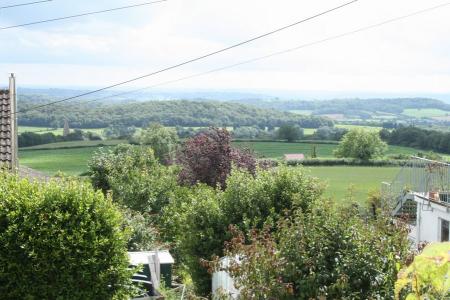 Rear courtyard garde