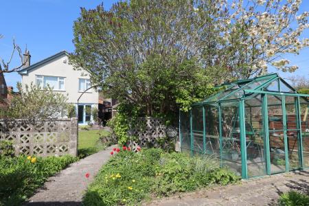 Green house through
