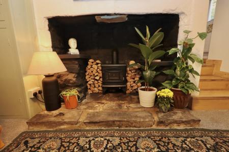 Feature fireplace (e