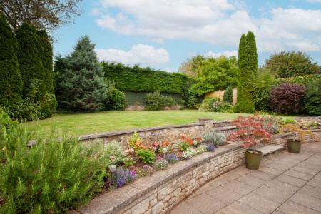 AN2 Garden 1