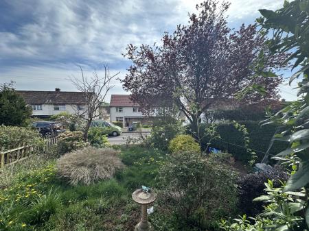 Front garden