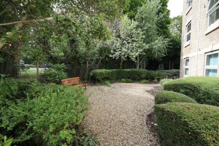 Communal garden area