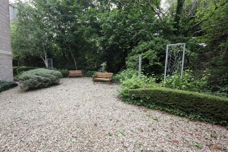 Communal garden area
