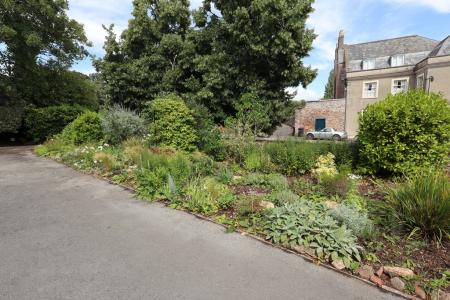 Communal garden to t