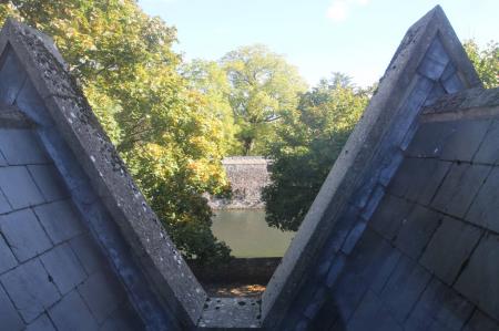 View from Sitting ro