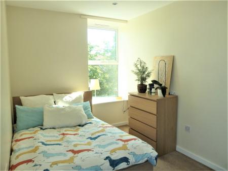 Photo 08
