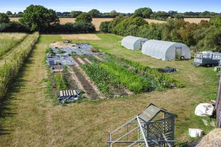 Vegetable Area