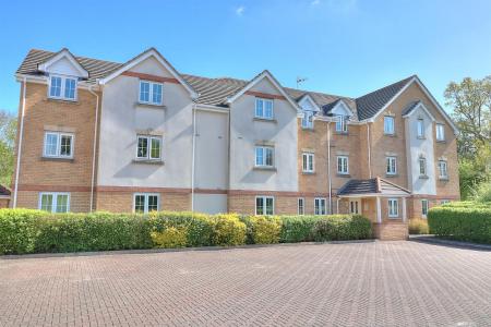 External 1 (Custom).jpg