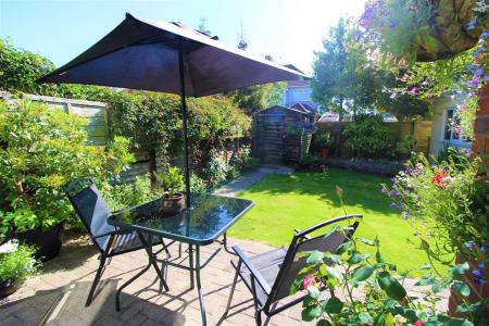 garden 3.JPG