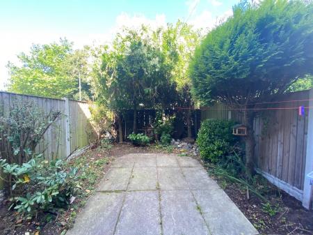 Garden 1.jpg