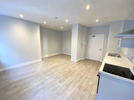 Lounge/ Bedroom / Kitchen