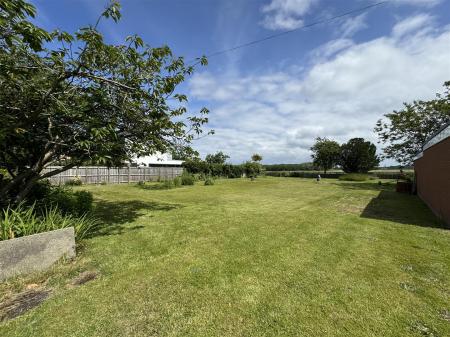 View from front of plot