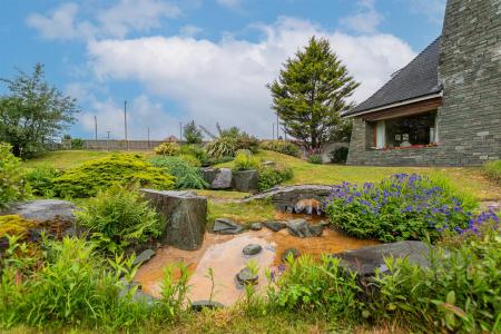 Beautiful front garden