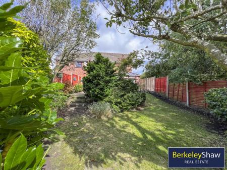 tlc_95464cb0-4e29-470a-a0b1-39b960f9c0d2_92a5929.j