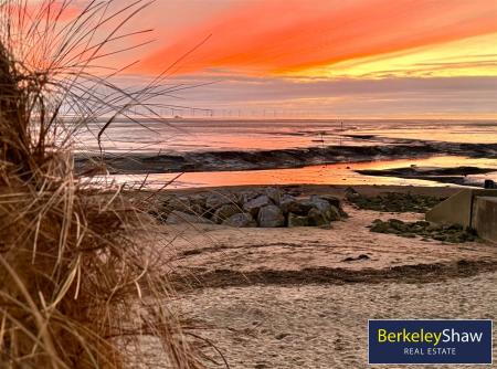 279131e3-image_picker_79466170-89E8-4AF4-BAFB-C530