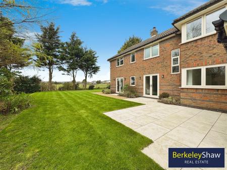 Rear garden (2)